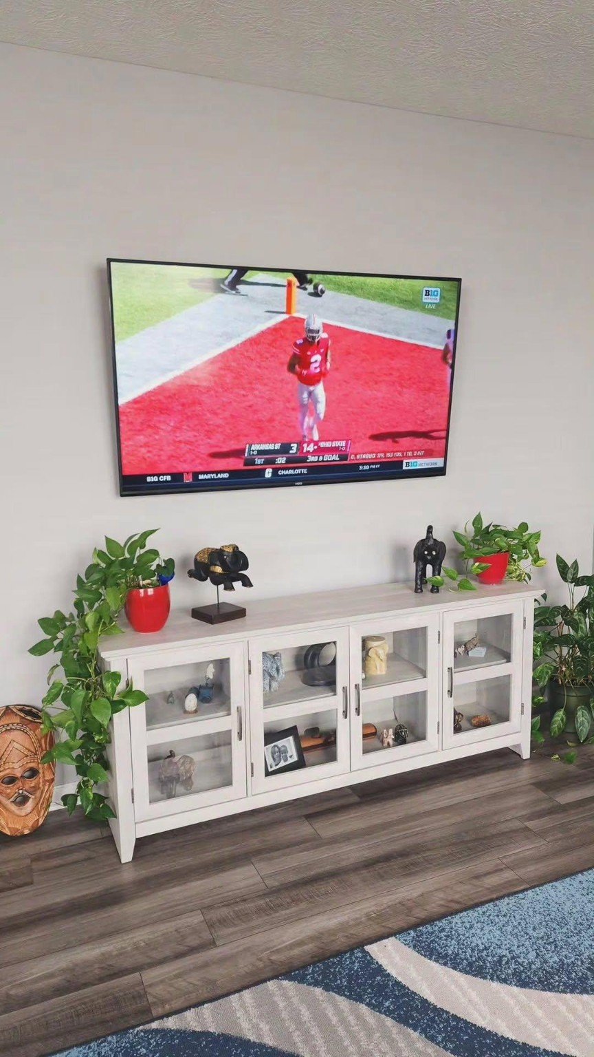 Wall-mounted TV above a white living-room console with houseplants